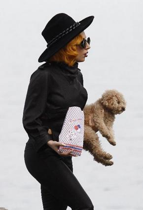 ليدي غاغا تعلّم كلبها هواية جديدة ... الرسم